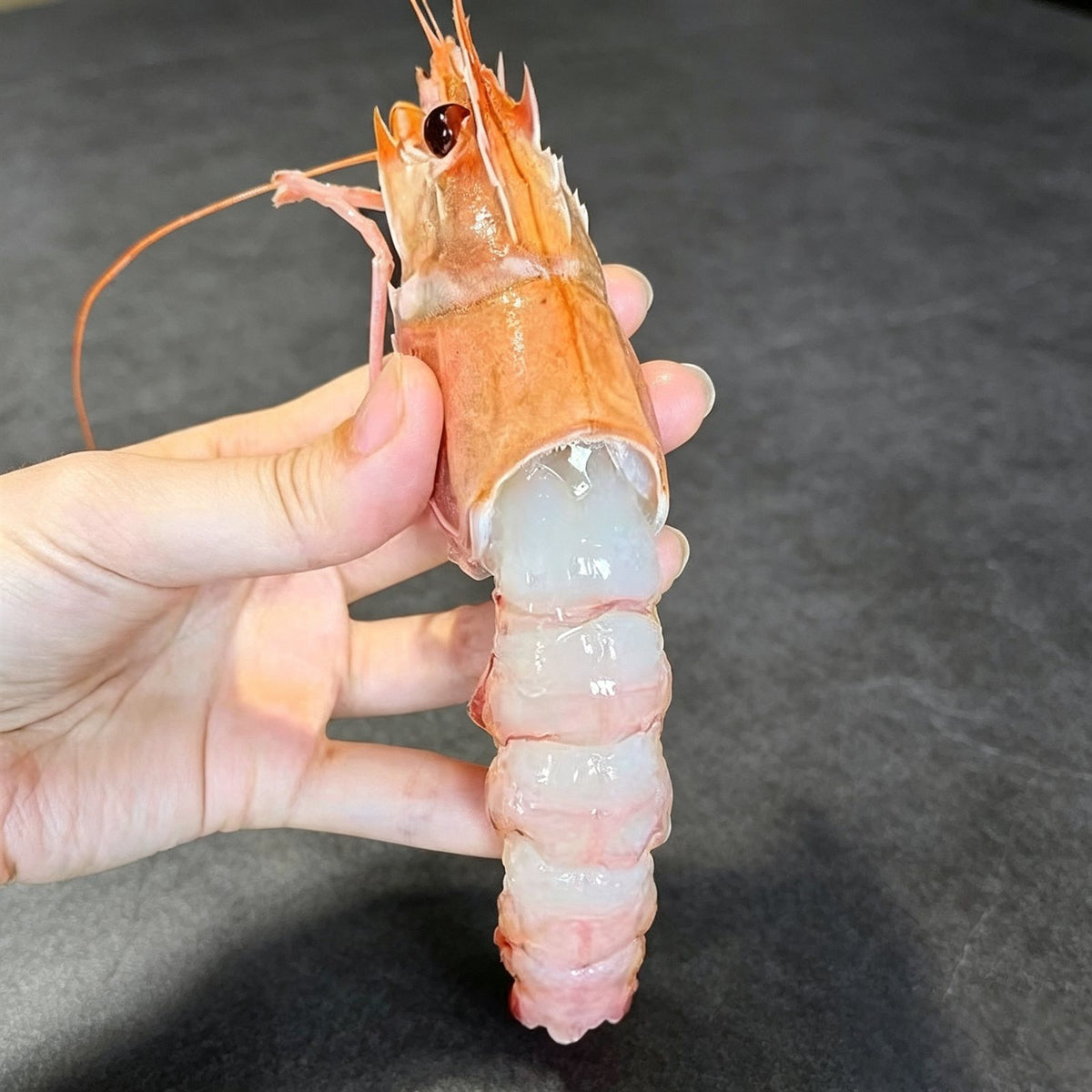 Frozen Raw Whole Langoustine (Scampi)