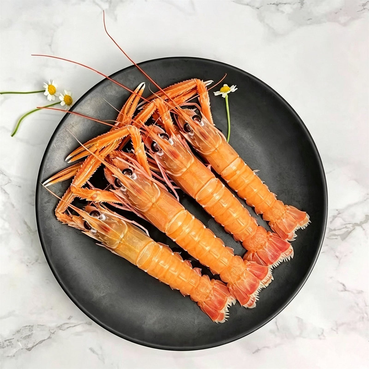 Frozen Raw Whole Langoustine (Scampi)
